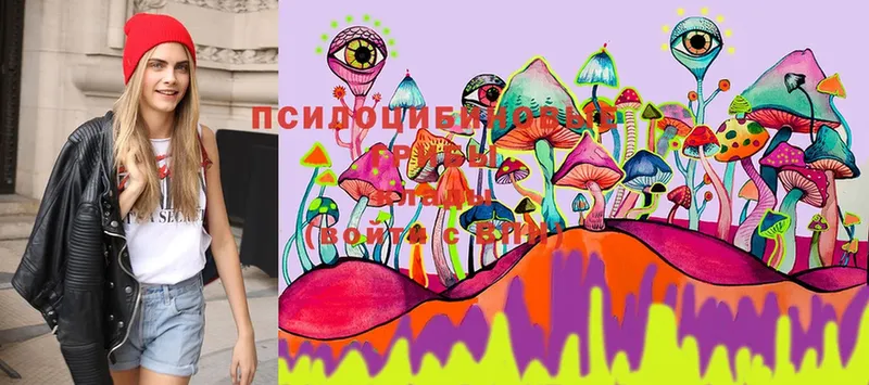 где купить   OMG ТОР  Псилоцибиновые грибы MAGIC MUSHROOMS  Зеленоградск 